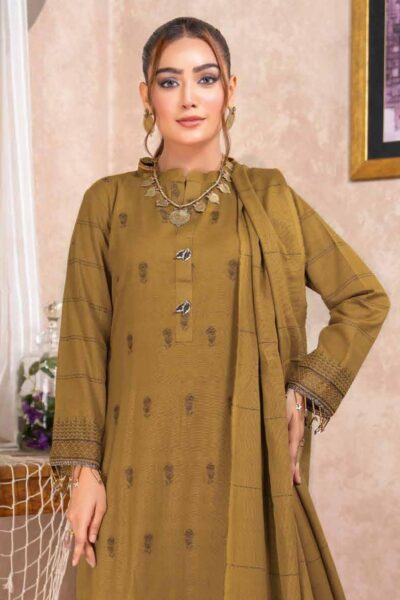 Bin Rashid Lok Virsa Bl 06 Winter Collection