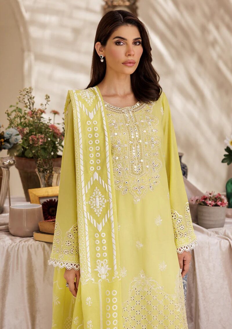 Rajbari Nissa Chikankari Edition S/S 25 D 02 Lawn