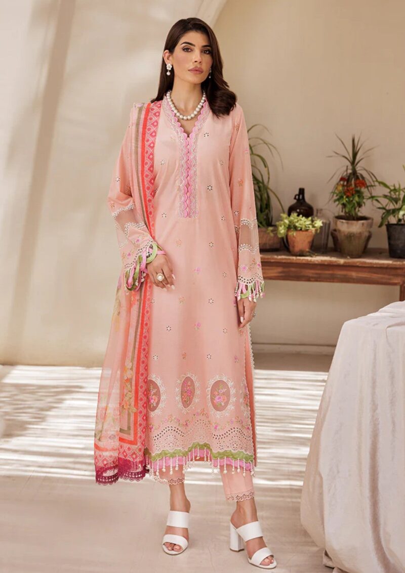 Rajbari Nissa Chikankari Edition S/S 25 D 03 Lawn