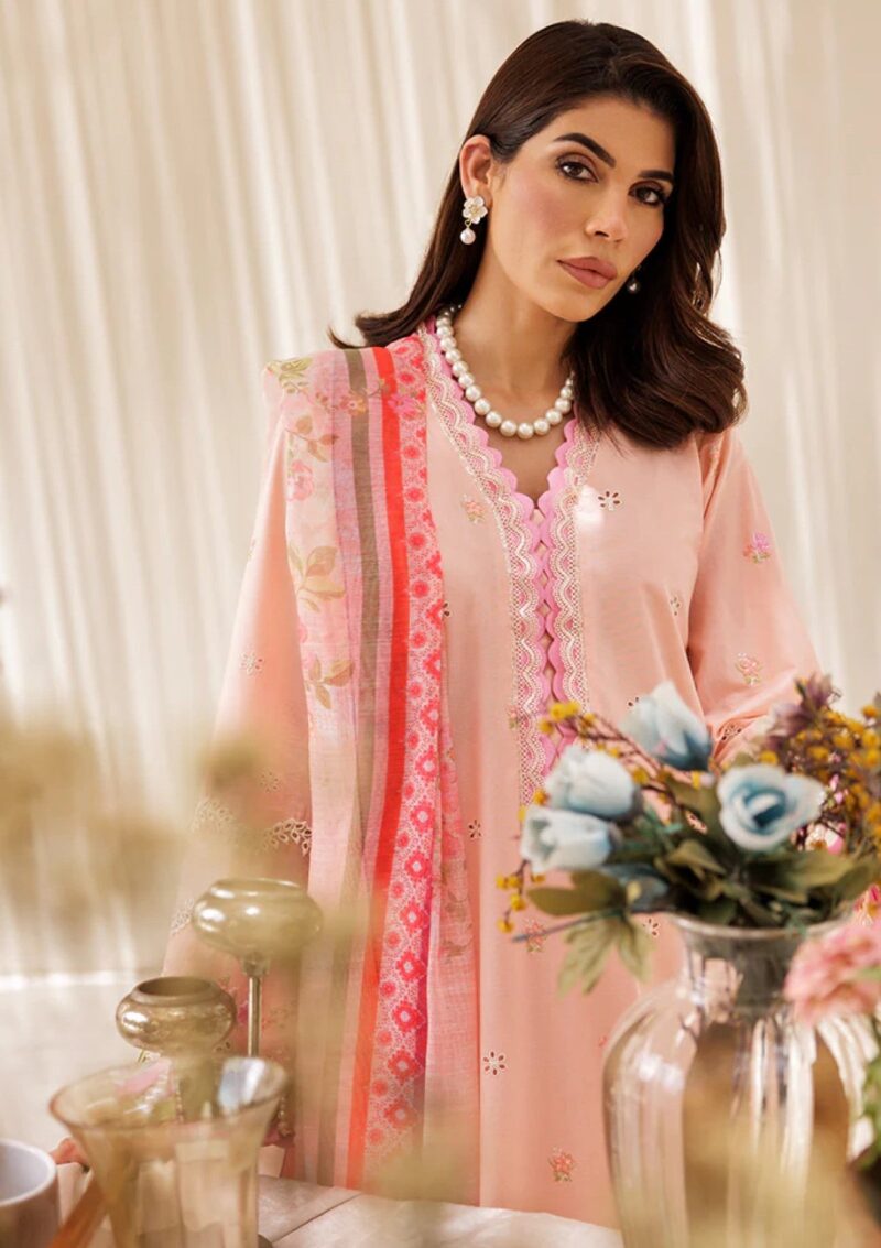 Rajbari Nissa Chikankari Edition S/S 25 D 03 Lawn