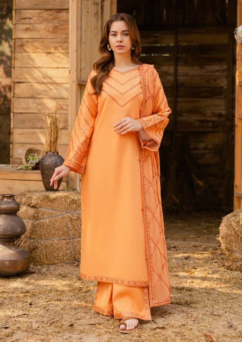 Rubaaiyat Luxe Attire 25 D 01 Tangerine Lawn