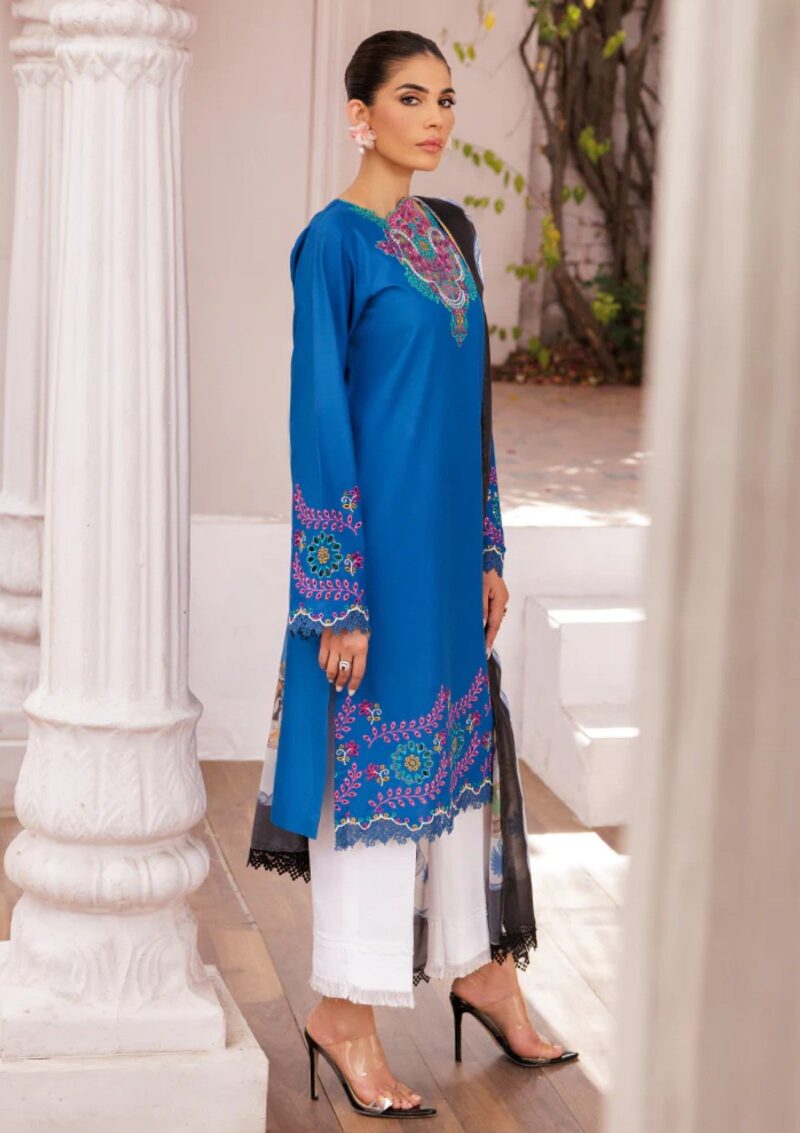 Rajbari Nissa Chikankari Edition S/S 25 D 04 Lawn