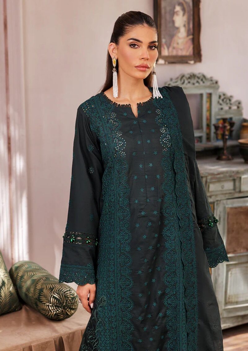 Rajbari Nissa Chikankari Edition S/S 25 D 05 Lawn