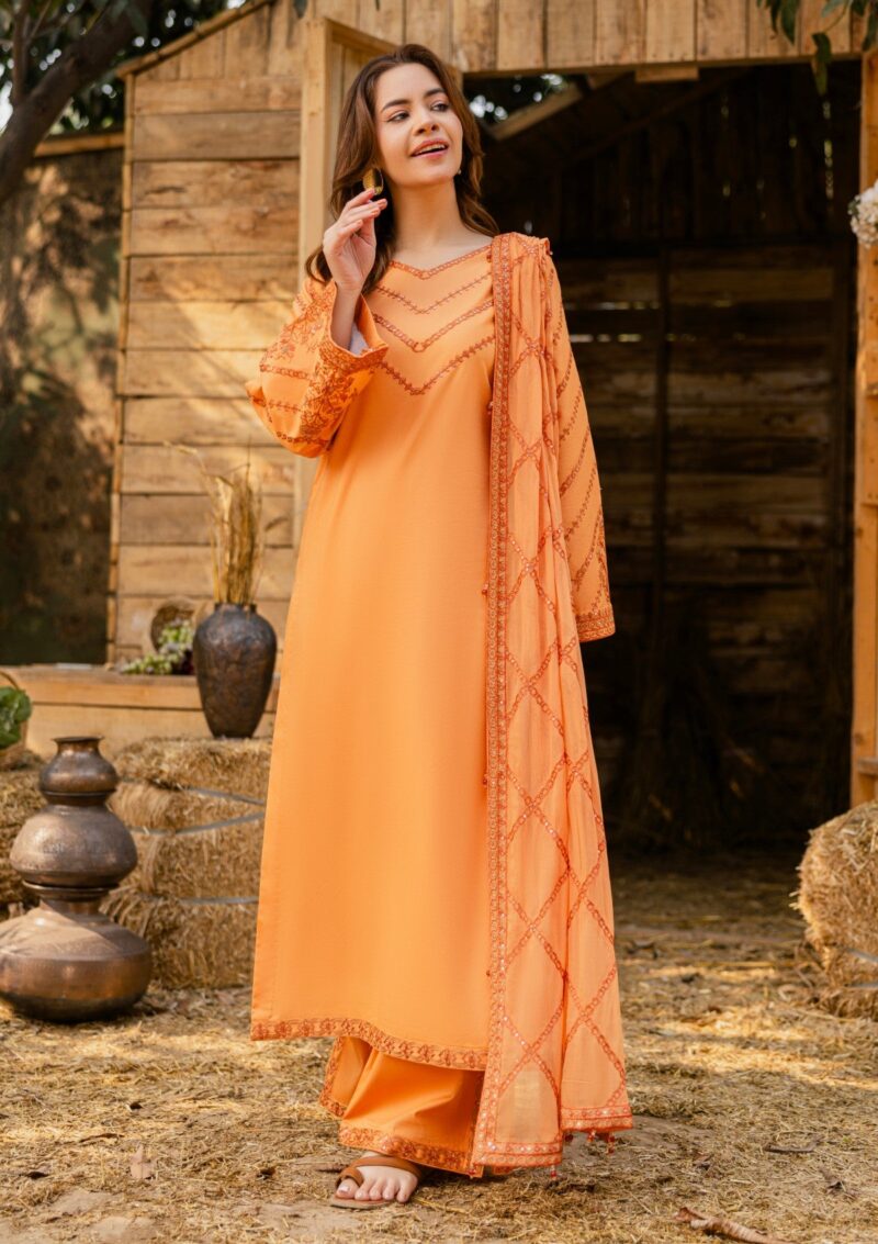 Rubaaiyat Luxe Attire 25 D 01 Tangerine Lawn