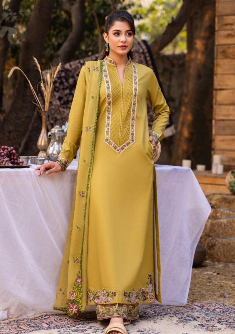 Rubaaiyat Luxe Attire 25 D 02 Olive Lawn