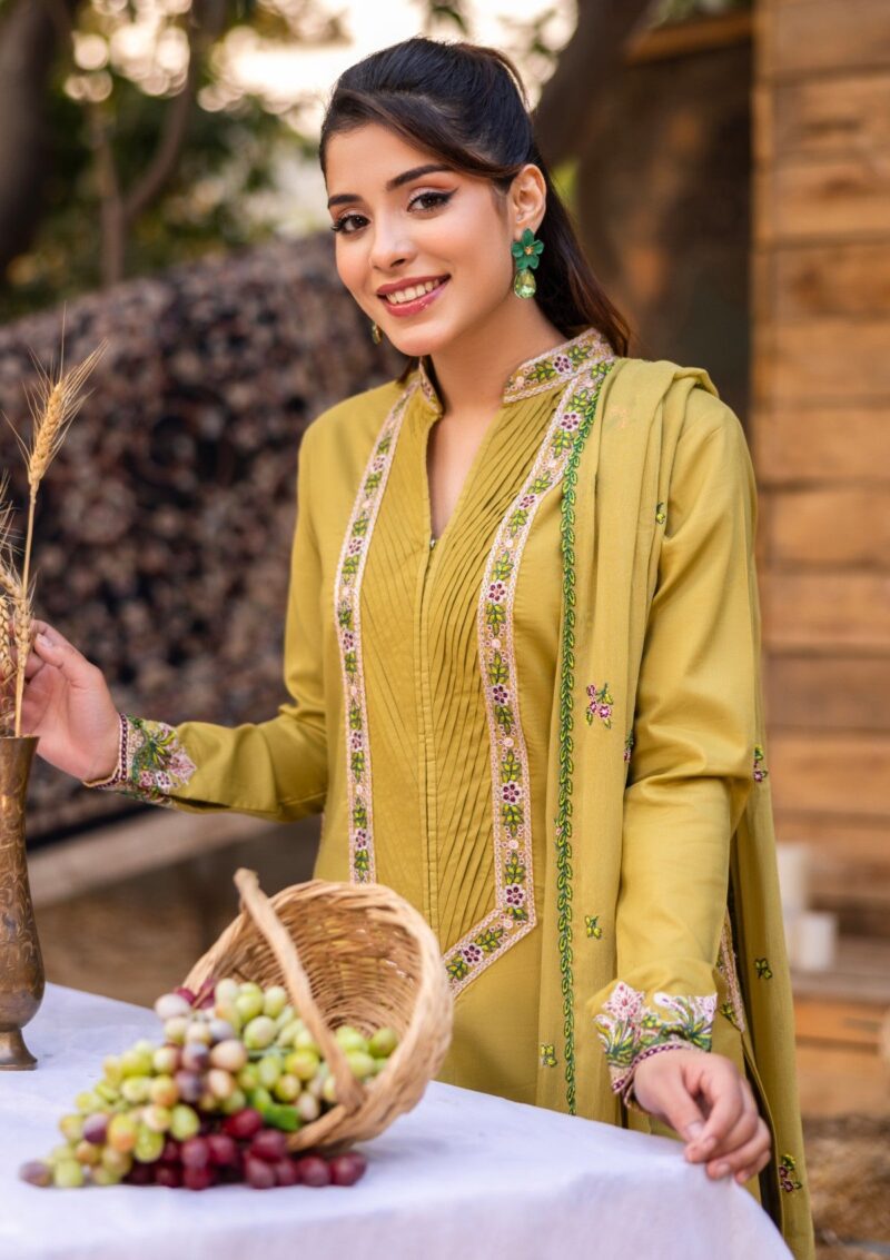 Rubaaiyat Luxe Attire 25 D 02 Olive Lawn