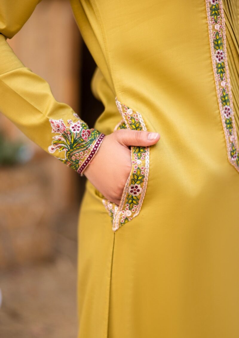 Rubaaiyat Luxe Attire 25 D 02 Olive Lawn