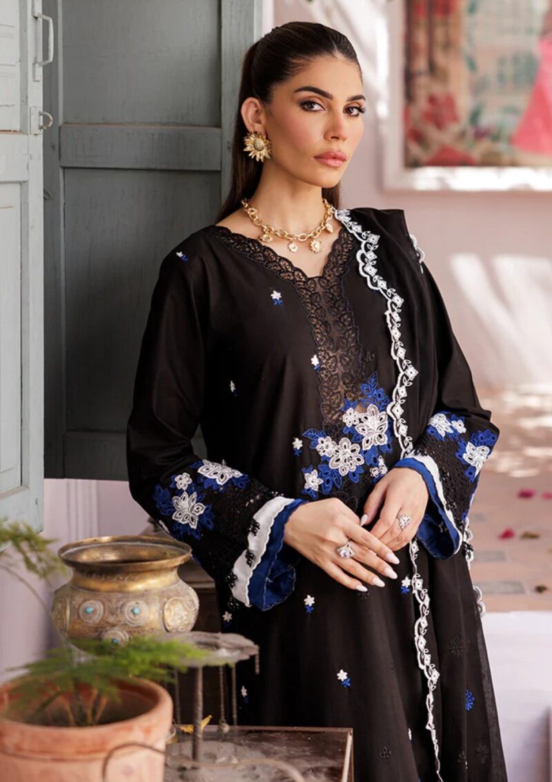 Rajbari Nissa Chikankari Edition S/S 25 D 08 Lawn