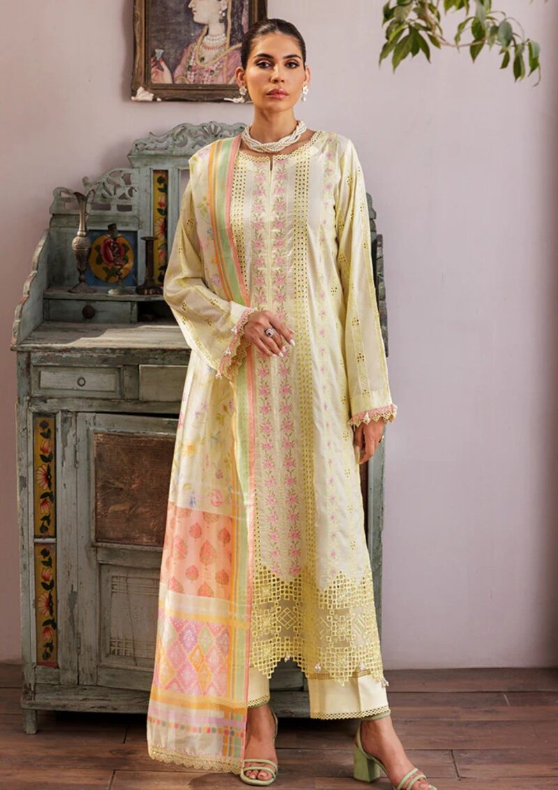 Rajbari Nissa Chikankari Edition S/S 25 D 09 Lawn