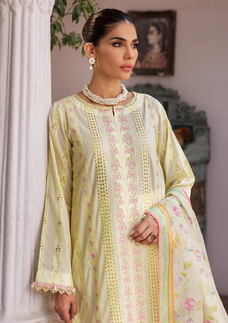 Rajbari Nissa Chikankari Edition S/S 25 D 09 Lawn