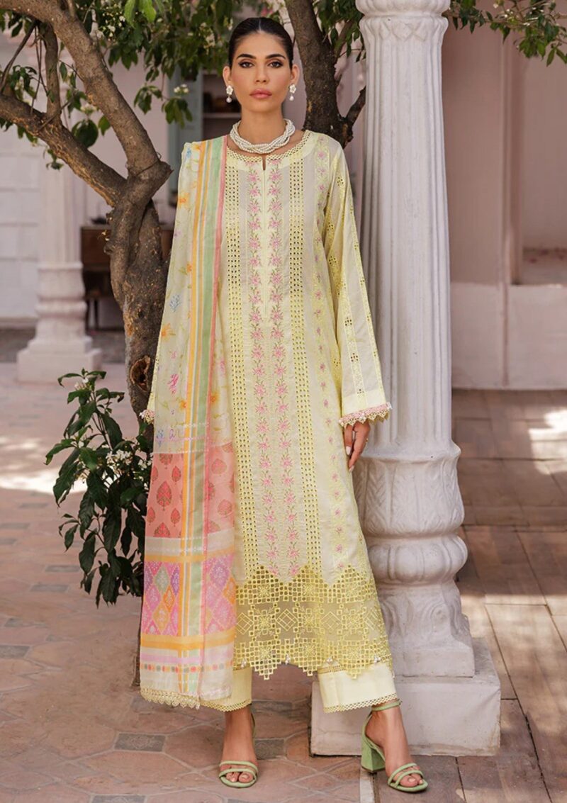 Rajbari Nissa Chikankari Edition S/S 25 D 09 Lawn