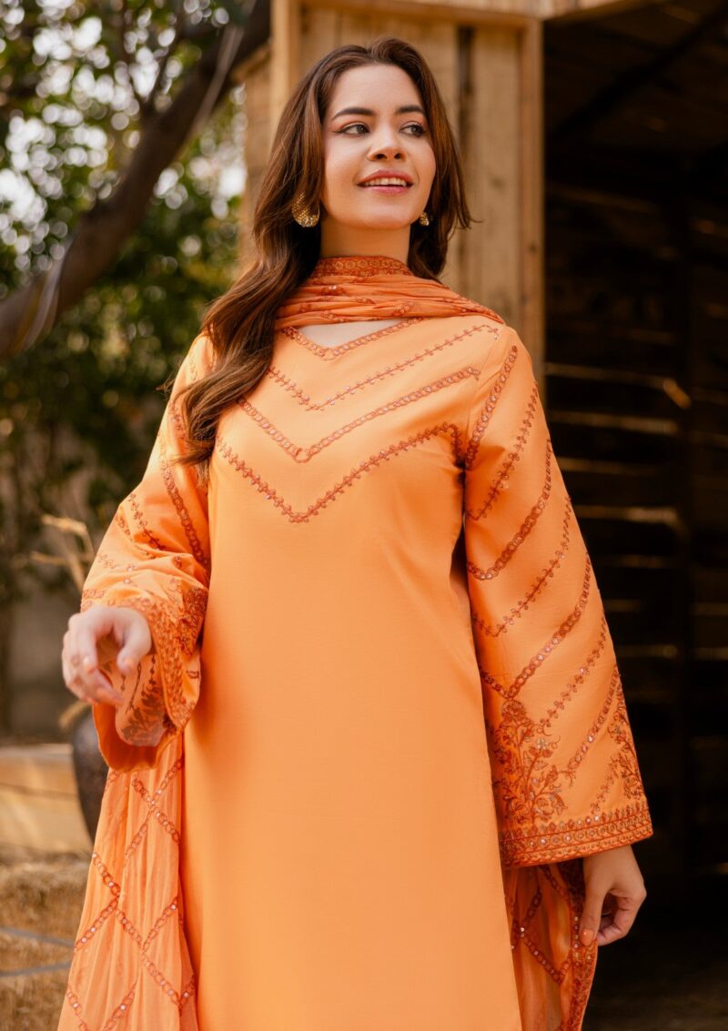 Rubaaiyat Luxe Attire 25 D 01 Tangerine Lawn