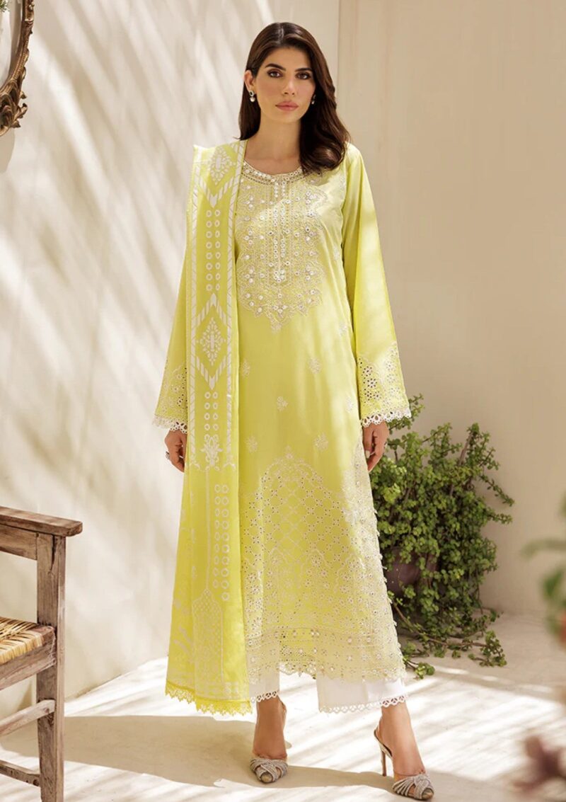 Rajbari Nissa Chikankari Edition S/S 25 D 02 Lawn