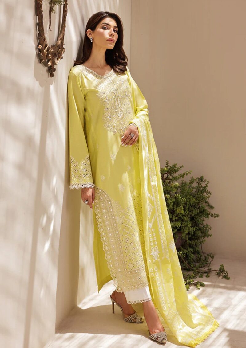 Rajbari Nissa Chikankari Edition S/S 25 D 02 Lawn