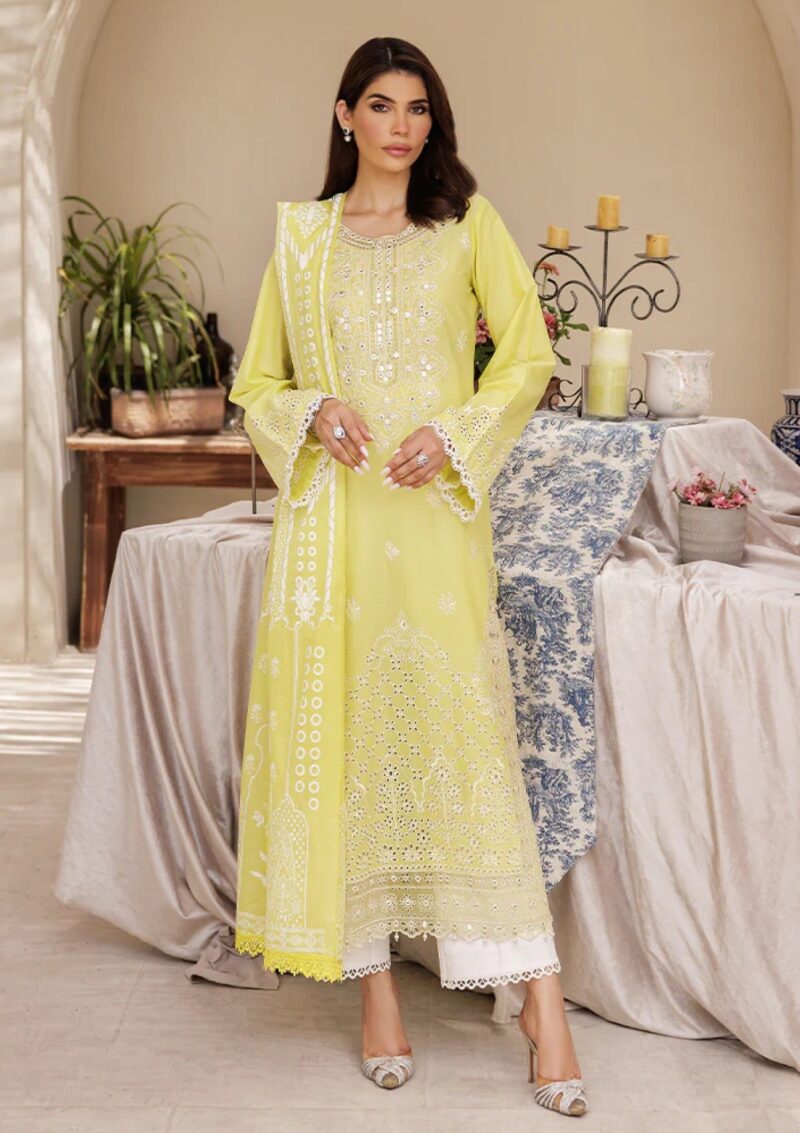 Rajbari Nissa Chikankari Edition S/S 25 D 02 Lawn