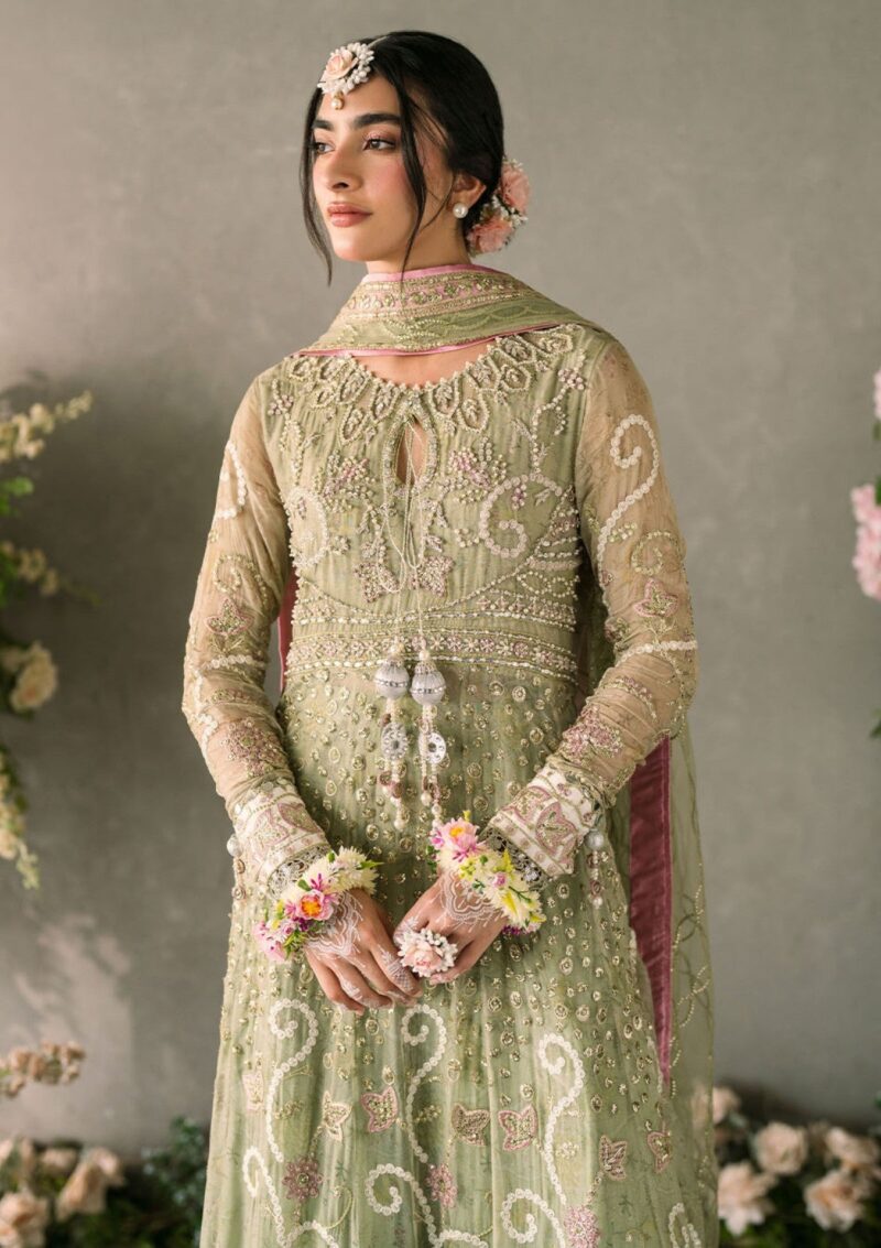 Mushq Mastani Evening Mm 10 Namar Formal Collection