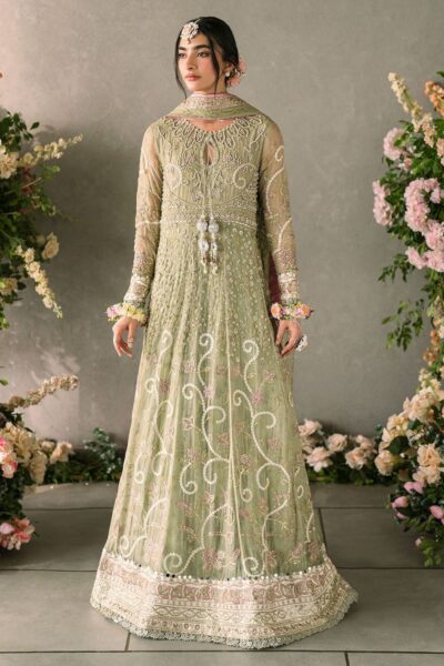 Mushq Mastani Evening Mm 10 Namar Formal Collection