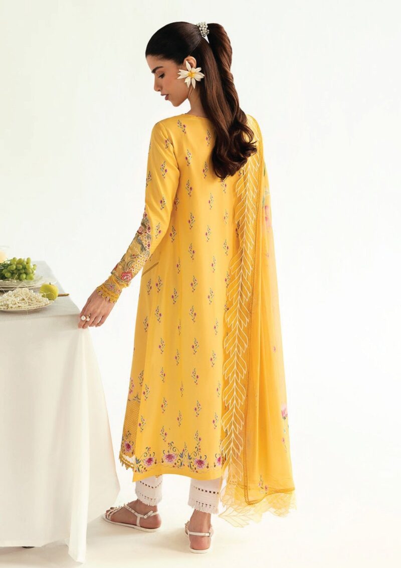 Qalamkar Q Prints 25 Pq 03 B Mehr Lawn - Image 4